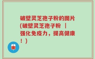 破壁灵芝孢子粉的图片(破壁灵芝孢子粉 ｜强化免疫力，提高健康！)