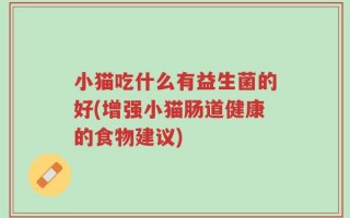 小猫吃什么有益生菌的好(增强小猫肠道健康的食物建议)