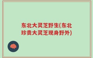 东北大灵芝野生(东北珍贵大灵芝现身野外)