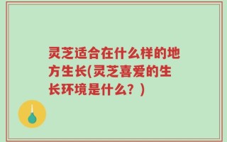 灵芝适合在什么样的地方生长(灵芝喜爱的生长环境是什么？)