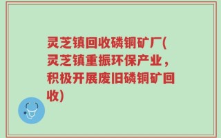 灵芝镇回收磷铜矿厂(灵芝镇重振环保产业，积极开展废旧磷铜矿回收)