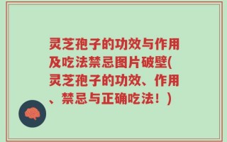 灵芝孢子的功效与作用及吃法禁忌图片破壁(灵芝孢子的功效、作用、禁忌与正确吃法！)