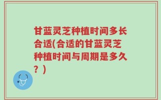 甘蓝灵芝种植时间多长合适(合适的甘蓝灵芝种植时间与周期是多久？)