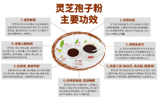 破壁灵芝孢子粉适合什么年龄的人去吃？