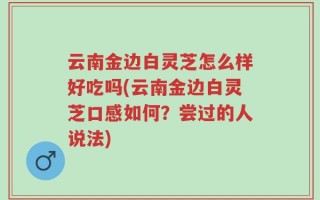 云南金边白灵芝怎么样好吃吗(云南金边白灵芝口感如何？尝过的人说法)