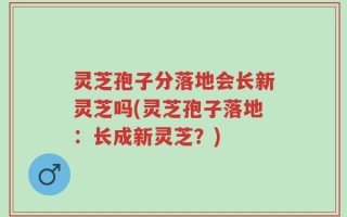 灵芝孢子分落地会长新灵芝吗(灵芝孢子落地：长成新灵芝？)