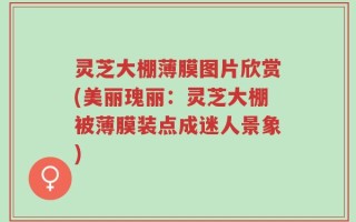 灵芝大棚薄膜图片欣赏(美丽瑰丽：灵芝大棚被薄膜装点成迷人景象)