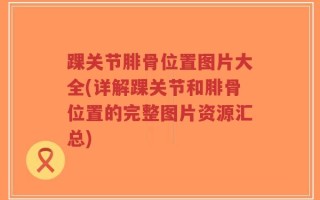 踝关节腓骨位置图片大全(详解踝关节和腓骨位置的完整图片资源汇总)