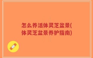 怎么养活体灵芝盆景(体灵芝盆景养护指南)