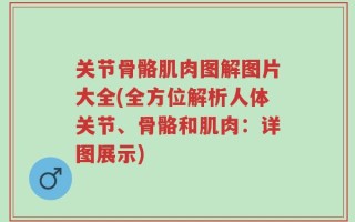 关节骨骼肌肉图解图片大全(全方位解析人体关节、骨骼和肌肉：详图展示)