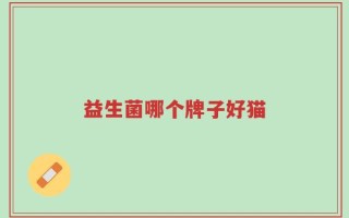 益生菌哪个牌子好猫