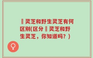 艼灵芝和野生灵芝有何区别(区分艼灵芝和野生灵芝，你知道吗？)