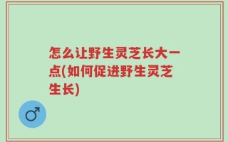 怎么让野生灵芝长大一点(如何促进野生灵芝生长)