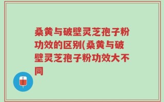 桑黄与破壁灵芝孢子粉功效的区别(桑黄与破壁灵芝孢子粉功效大不同