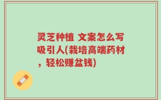 灵芝种植 文案怎么写吸引人(栽培高端药材，轻松赚盆钱)