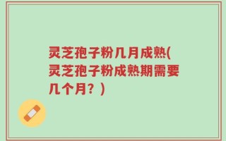 灵芝孢子粉几月成熟(灵芝孢子粉成熟期需要几个月？)