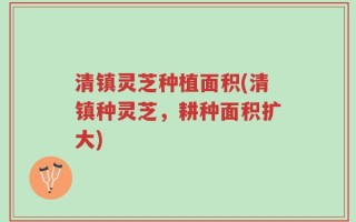 清镇灵芝种植面积(清镇种灵芝，耕种面积扩大)