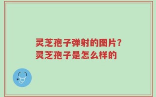灵芝孢子弹射的图片？灵芝孢子是怎么样的