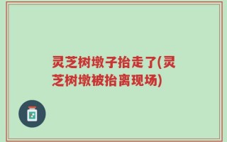 灵芝树墩子抬走了(灵芝树墩被抬离现场)