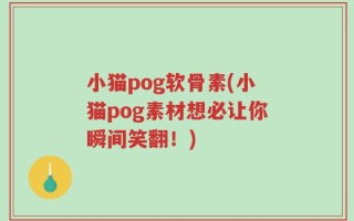 小猫pog软骨素(小猫pog素材想必让你瞬间笑翻！)