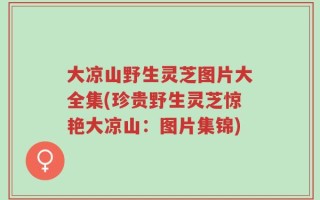 大凉山野生灵芝图片大全集(珍贵野生灵芝惊艳大凉山：图片集锦)