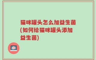 猫咪罐头怎么加益生菌(如何给猫咪罐头添加益生菌)