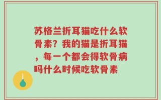 苏格兰折耳猫吃什么软骨素？我的猫是折耳猫，每一个都会得软骨病吗什么时候吃软骨素