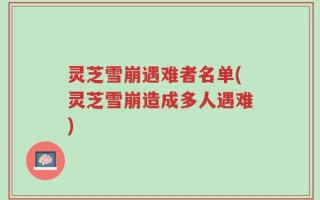 灵芝雪崩遇难者名单(灵芝雪崩造成多人遇难)