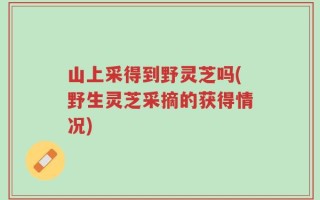 山上采得到野灵芝吗(野生灵芝采摘的获得情况)