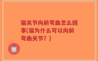 猫关节向前弯曲怎么回事(猫为什么可以向前弯曲关节？)