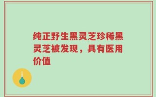 纯正野生黑灵芝珍稀黑灵芝被发现，具有医用价值