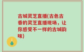 古城灵芝直播(古色古香的灵芝直播现场，让你感受不一样的古城韵味)