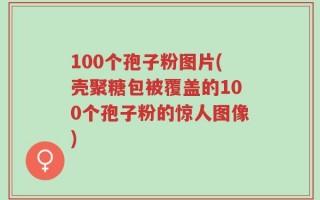 100个孢子粉图片(壳聚糖包被覆盖的100个孢子粉的惊人图像)