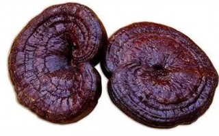 赤灵芝孢子粉的价位高吗？