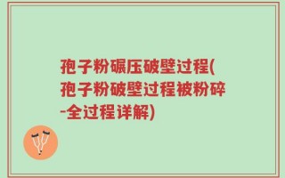 孢子粉碾压破壁过程(孢子粉破壁过程被粉碎-全过程详解)