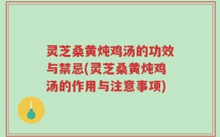 灵芝桑黄炖鸡汤的功效与禁忌(灵芝桑黄炖鸡汤的作用与注意事项)