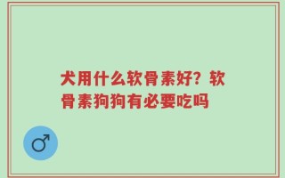 犬用什么软骨素好？软骨素狗狗有必要吃吗