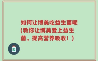 如何让博美吃益生菌呢(教你让博美爱上益生菌，提高营养吸收！)