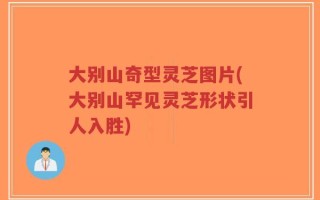 大别山奇型灵芝图片(大别山罕见灵芝形状引人入胜)