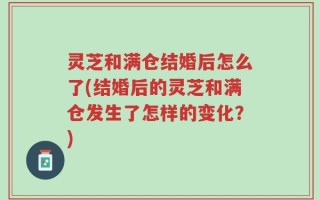灵芝和满仓结婚后怎么了(结婚后的灵芝和满仓发生了怎样的变化？)