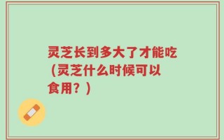 灵芝长到多大了才能吃 (灵芝什么时候可以食用？)