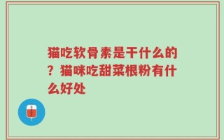 猫吃软骨素是干什么的？猫咪吃甜菜根粉有什么好处