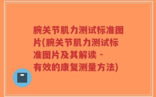 腕关节肌力测试标准图片(腕关节肌力测试标准图片及其解读 - 有效的康复测量方法)