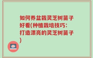 如何养盆栽灵芝树苗子好看(种植栽培技巧：打造漂亮的灵芝树苗子)