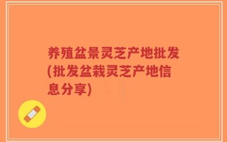 养殖盆景灵芝产地批发(批发盆栽灵芝产地信息分享)
