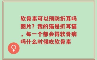 软骨素可以预防折耳吗图片？我的猫是折耳猫，每一个都会得软骨病吗什么时候吃软骨素