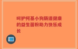 呵护柯基小狗肠道健康的益生菌粉助力快乐成长
