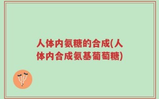 人体内氨糖的合成(人体内合成氨基葡萄糖)
