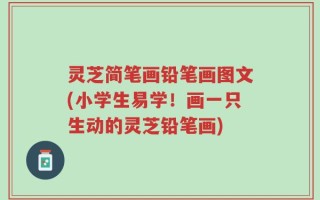 灵芝简笔画铅笔画图文(小学生易学！画一只生动的灵芝铅笔画)