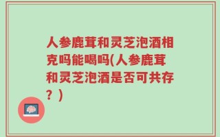 人参鹿茸和灵芝泡酒相克吗能喝吗(人参鹿茸和灵芝泡酒是否可共存？)